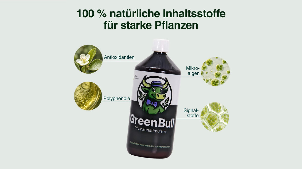 GreenBull® Pflanzen-Booster