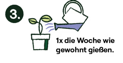 Green Bull® Symbol für natürliche Pflanzenstärkung