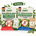 Nützlings-Duo gegen Trauermücken, Thripse & Spinnmilben