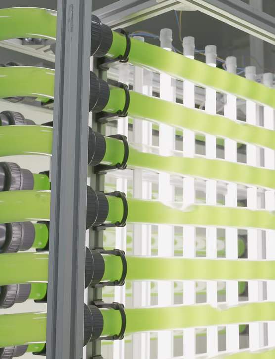 Natürliches Wachstum für schönere Pflanzen - GreenBull®