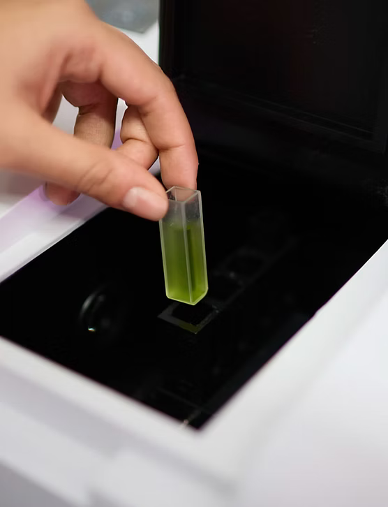 Natürliches Wachstum für schönere Pflanzen - GreenBull®