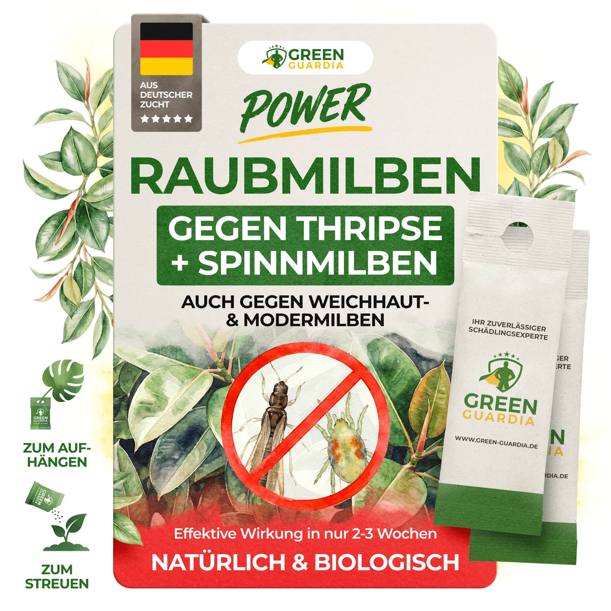 Nützlings-Duo gegen Trauermücken, Thripse & Spinnmilben